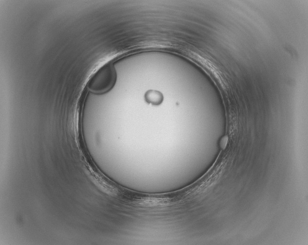 X0000116151179200912071257