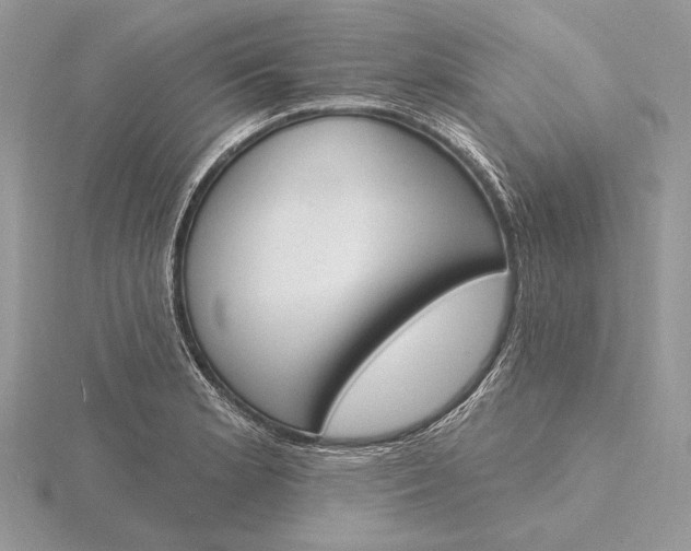 X0000116151181200912071257