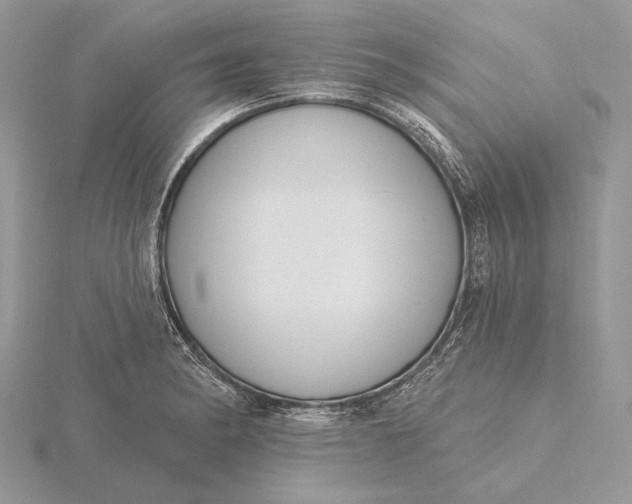 X0000116151182200912071257