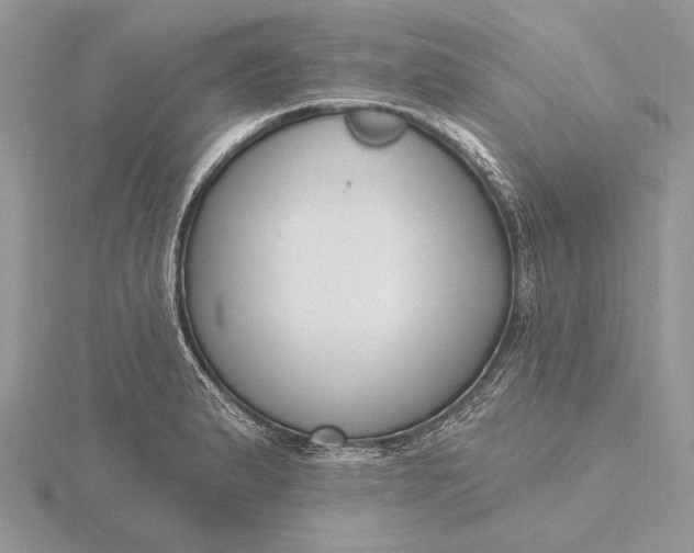 X0000116151183200912071257