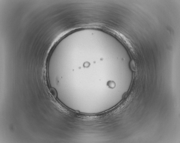 X0000116151184200912071257