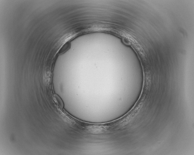 X0000116151185200912071257