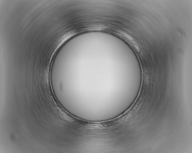 X0000116151186200912071257