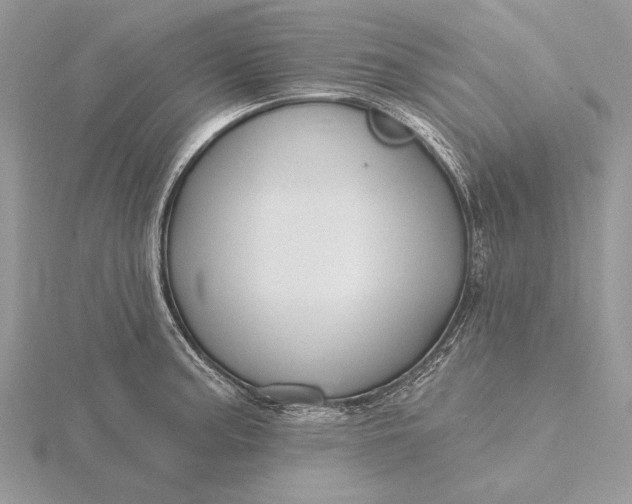 X0000116151187200912071257