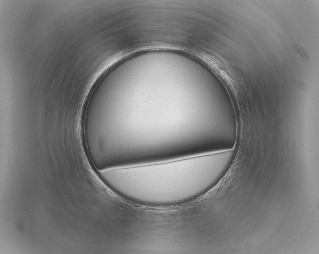 X0000116151189200912071257