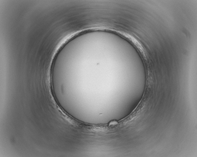 X0000116151191200912071257