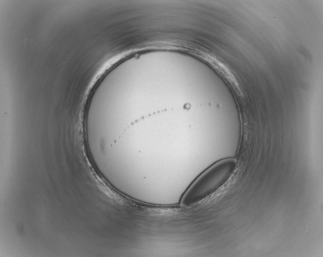 X0000116151192200912071257