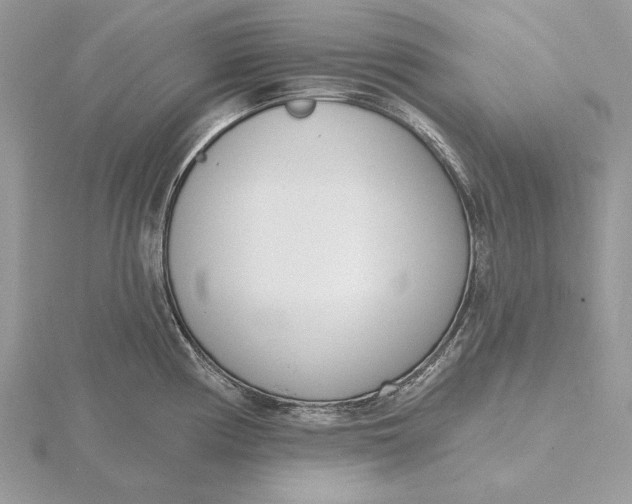 X0000116151194200912071257