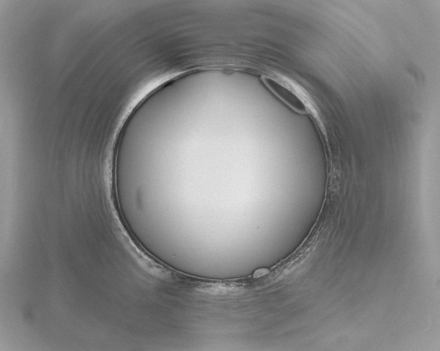 X0000116151195200912071257