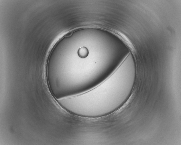 X0000116151196200912071257