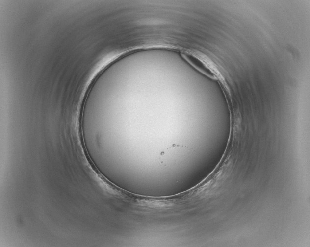 X0000116151197200912071257