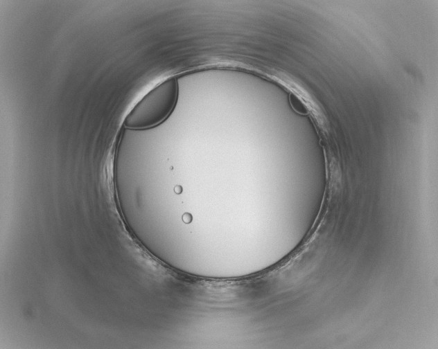 X0000116151198200912071257