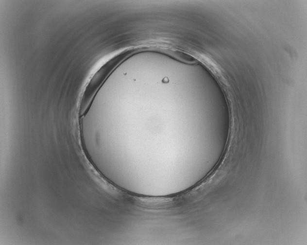 X0000116151200200912071257