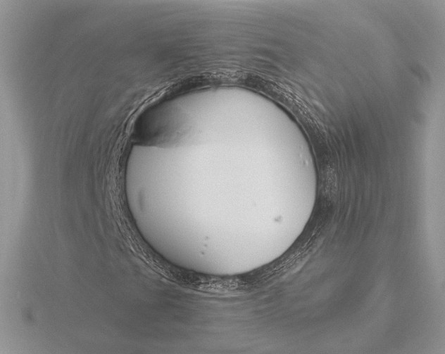 X0000116151201200912071256