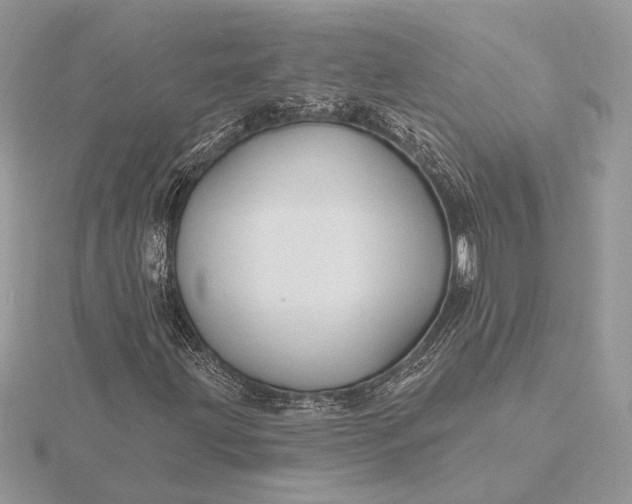 X0000116151203200912071256