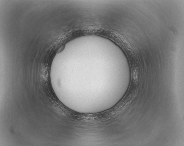 X0000116151204200912071256