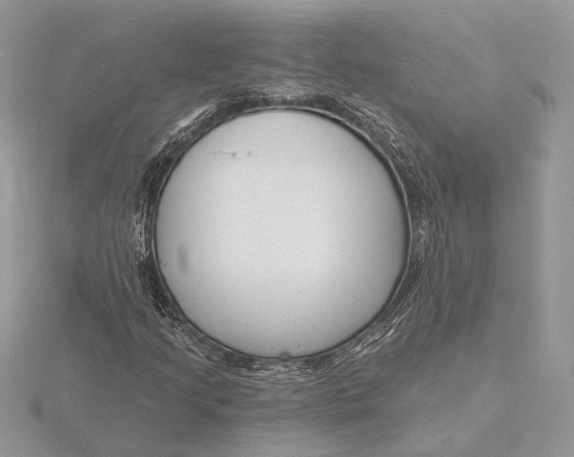 X0000116151205200912071256