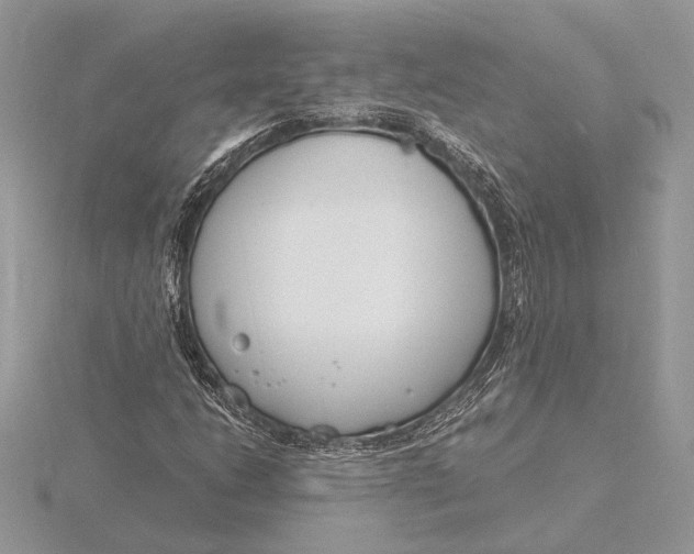 X0000116151206200912071256