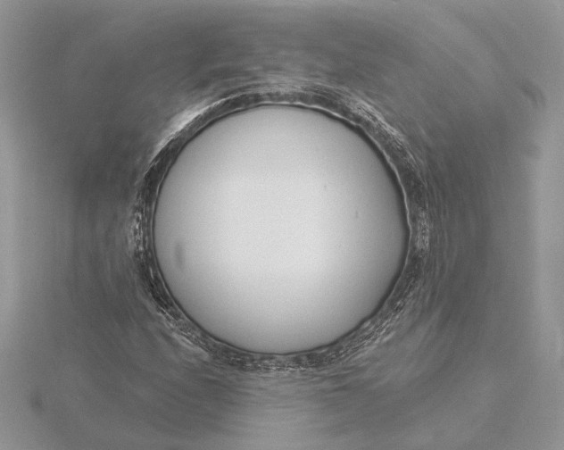 X0000116151208200912071256