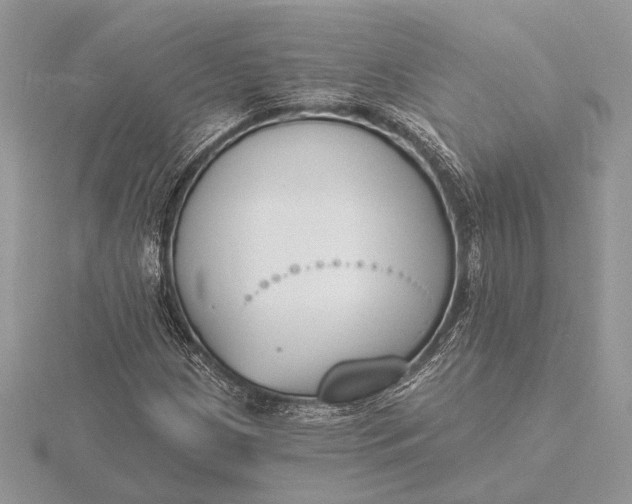 X0000116151209200912071256