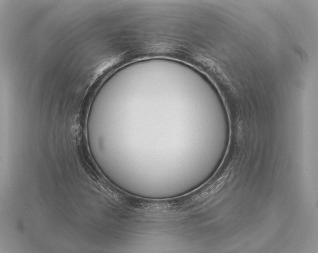 X0000116151210200912071256