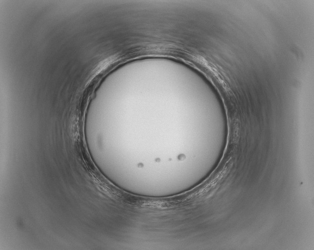 X0000116151211200912071256