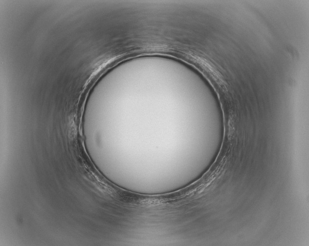 X0000116151212200912071256