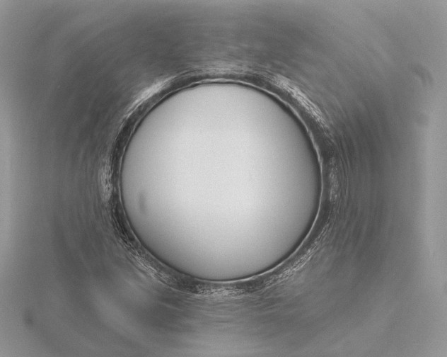 X0000116151213200912071256