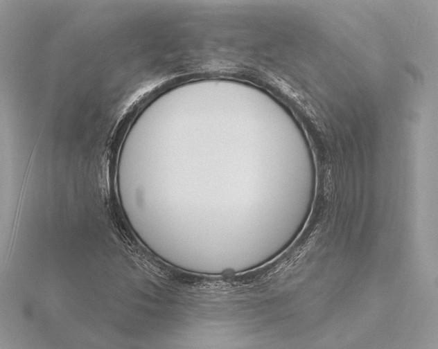 X0000116151214200912071256