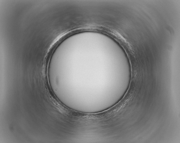 X0000116151216200912071256