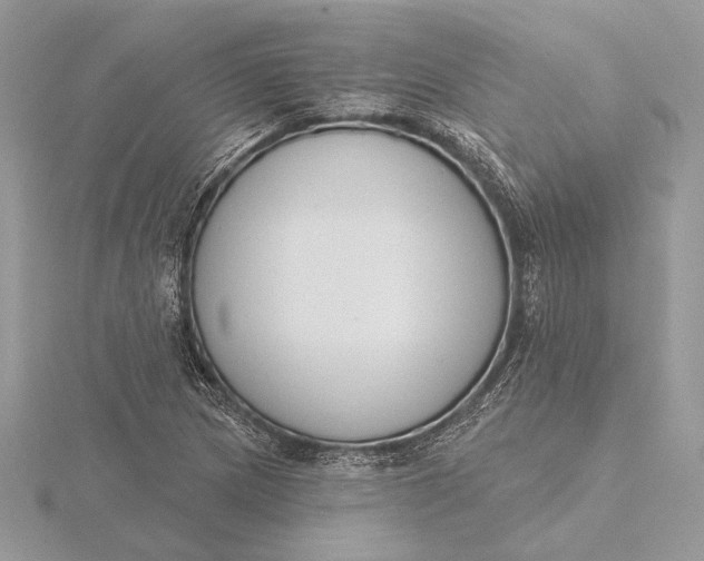 X0000116151217200912071256