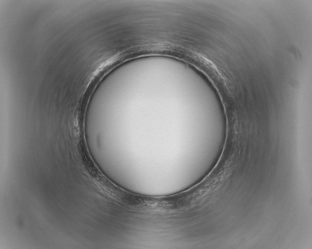 X0000116151218200912071256