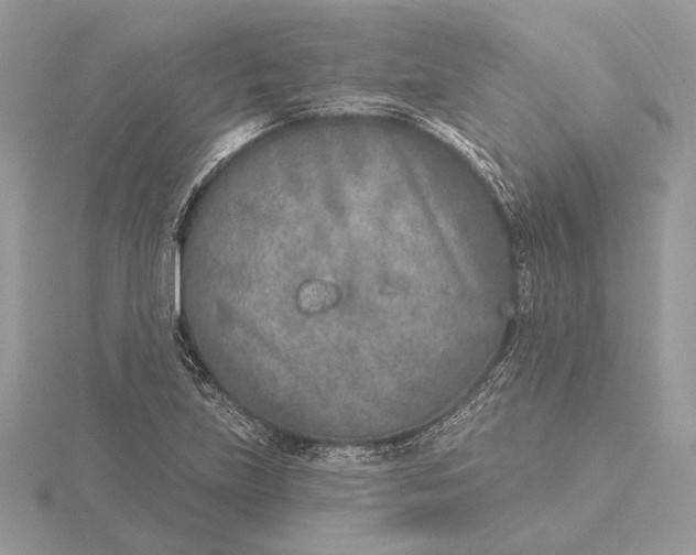 X0000116151219200912071256