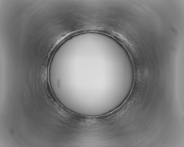 X0000116151220200912071256