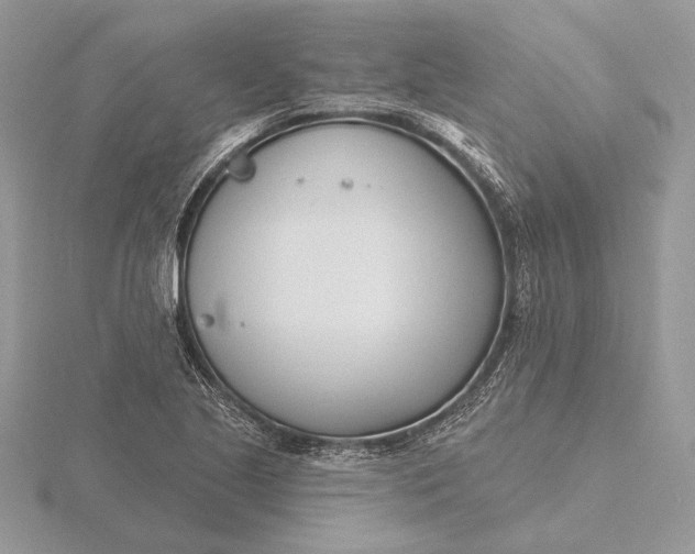 X0000116151221200912071256