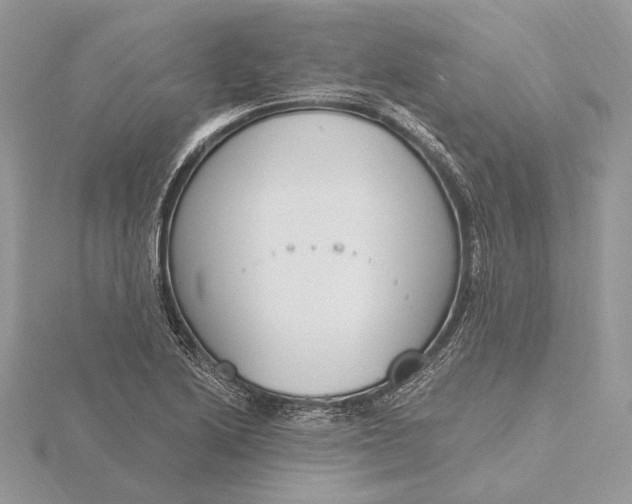 X0000116151222200912071257