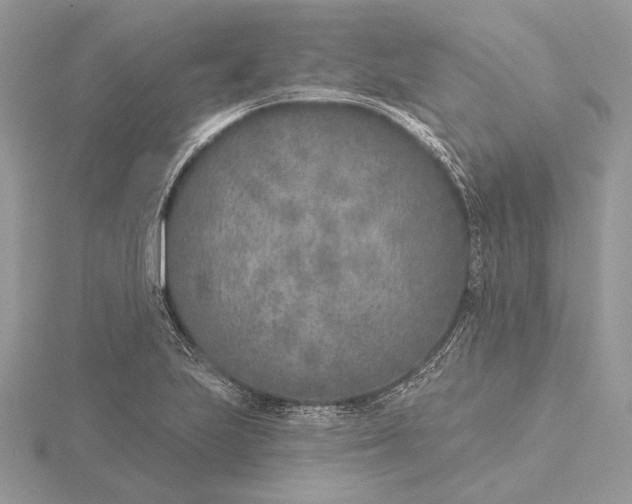 X0000116151223200912071257