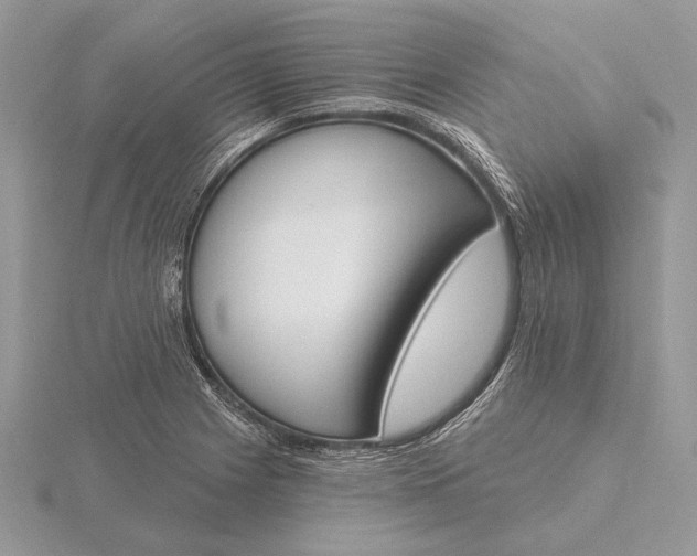 X0000116151225200912071257