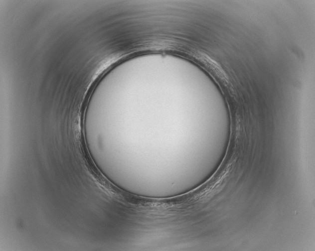 X0000116151226200912071257