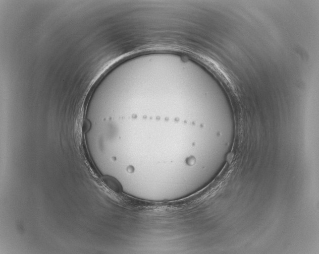 X0000116151228200912071257