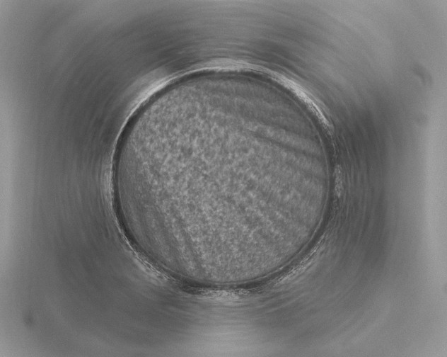 X0000116151229200912071257