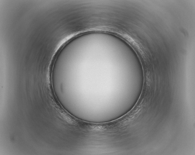 X0000116151230200912071257