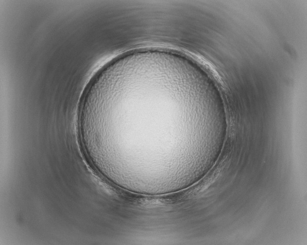 X0000116151231200912071257