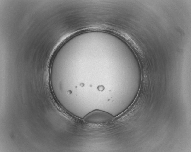 X0000116151232200912071257