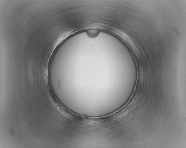 X0000116151234200912071257