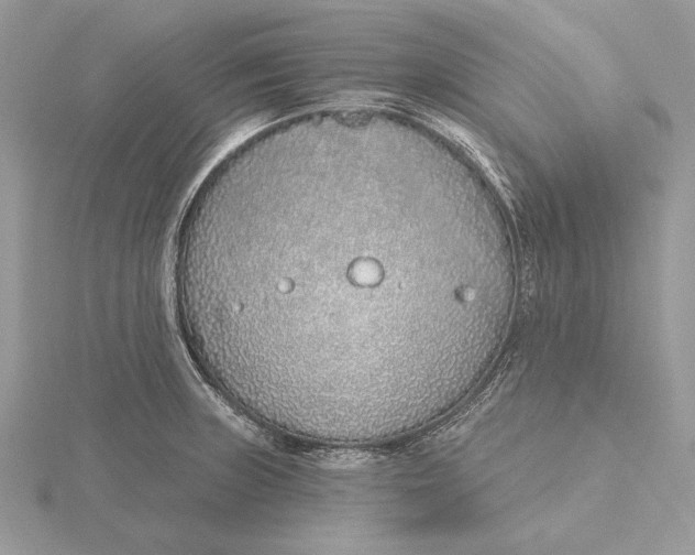 X0000116151235200912071257