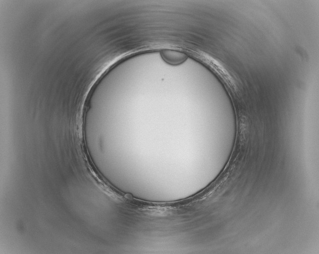 X0000116151236200912071257