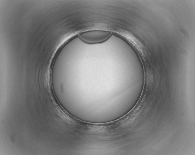 X0000116151238200912071257