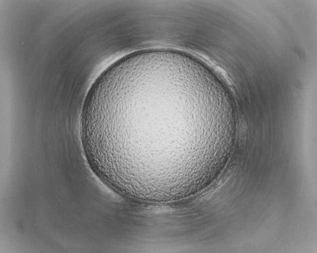 X0000116151239200912071257