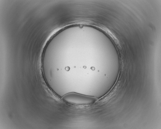 X0000116151240200912071257